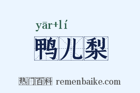 鸭儿梨是什么意思的图片